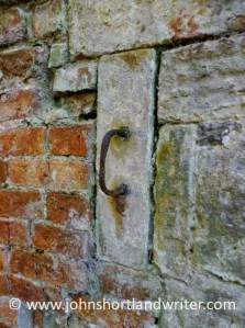 a31b0-the2bpineapple2b312b2b2bcopyright