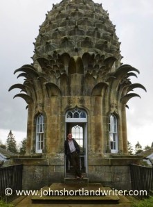 e226c-the2bpineapple2b42b2b2bcopyright