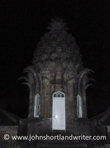 The Pineapple (6)   copyright