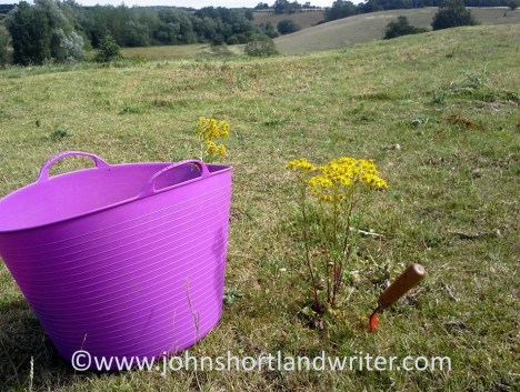 Always remove the pulled plants from the field