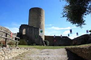 Aurignac (23) copyright