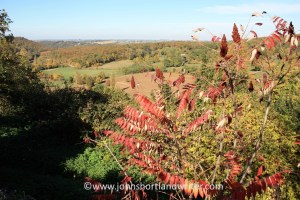 Aurignac (25) copyright