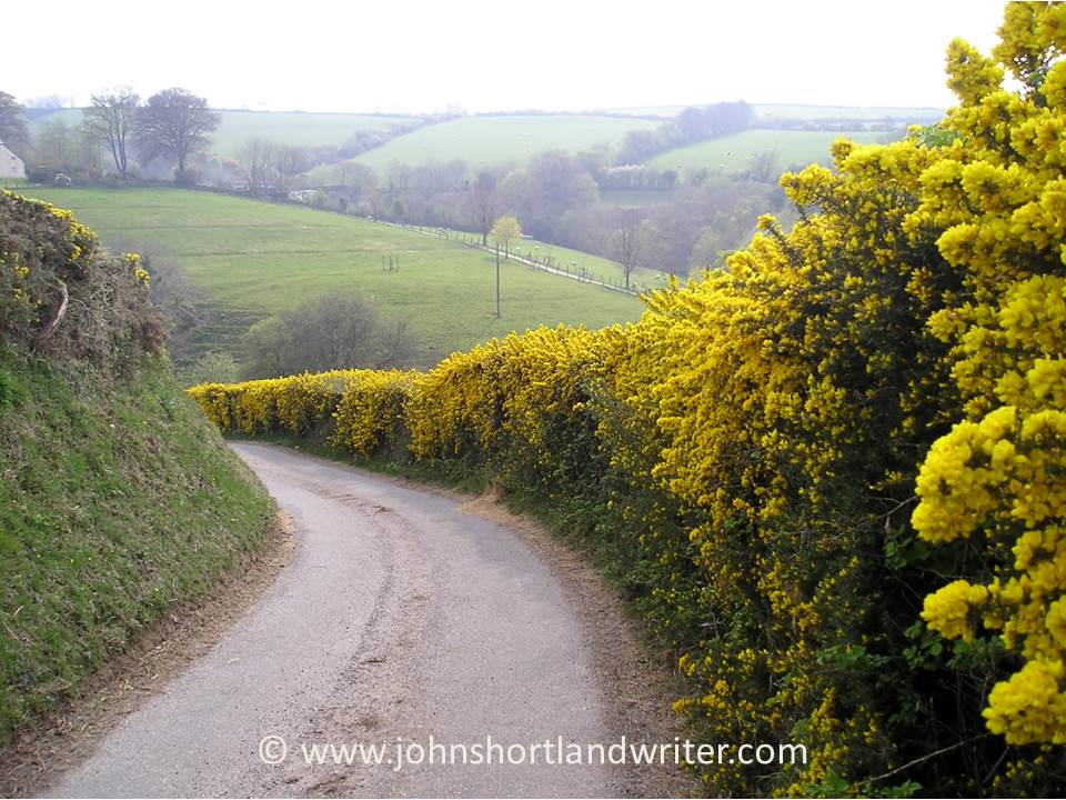 ABOVE BARTON II copyright