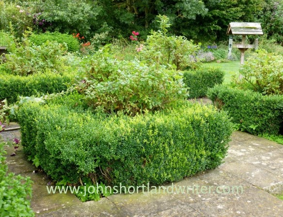 Box Hedge Clipping watermark