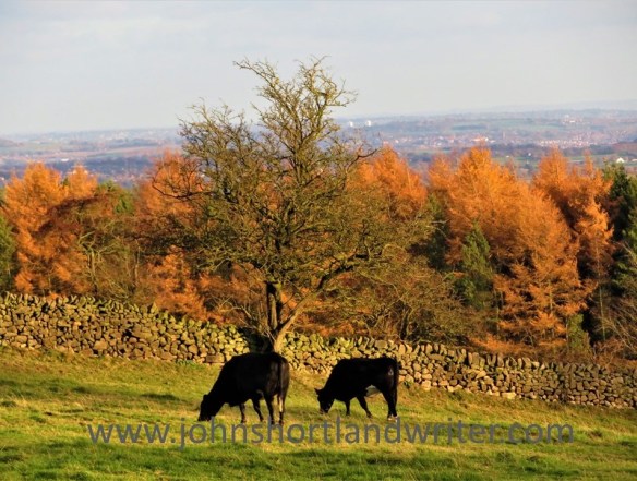 Bent Chapel (3) watermark