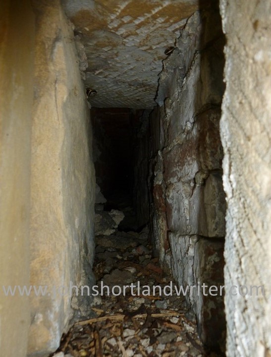 The Pineapple (34) watermark