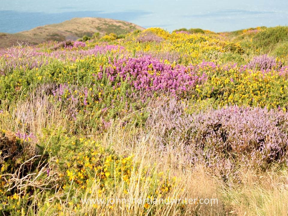 Countisbury (15) watermark
