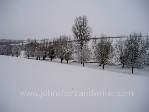 Snow 2010 (10) watermark
